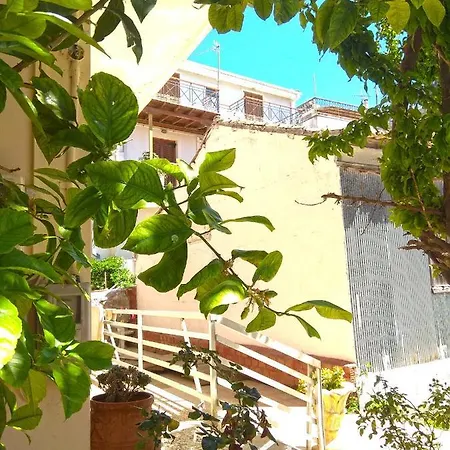 Olea *