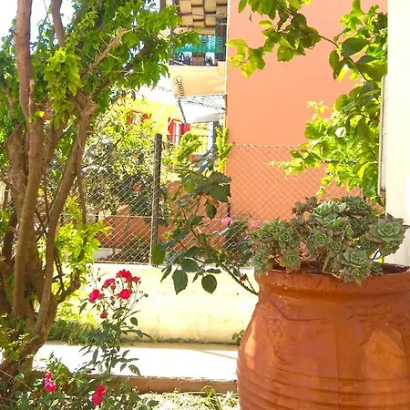 Olea شقة
